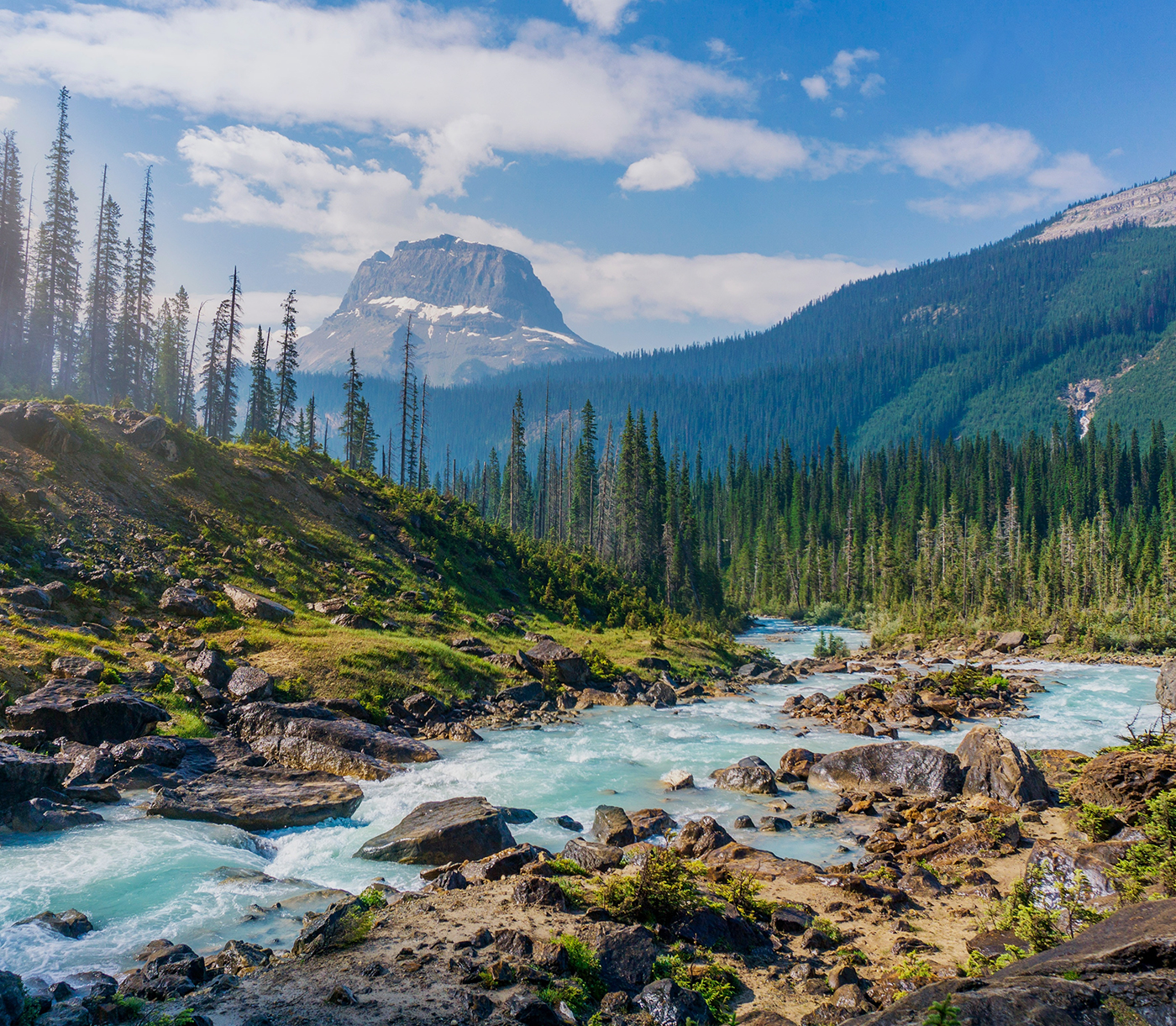 Best Nature Photo Collection Best Nature Photo Collection